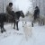 yakut horses0042