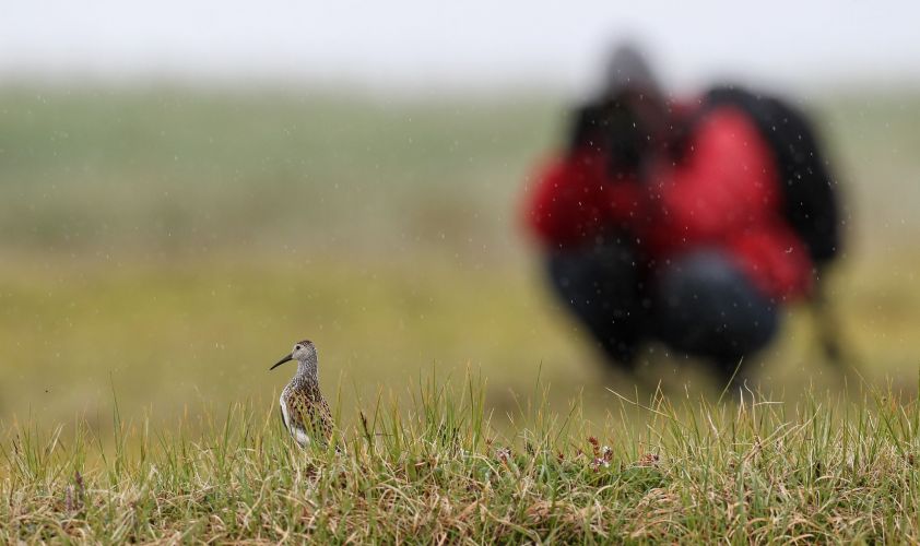 Nature and Birdwatching